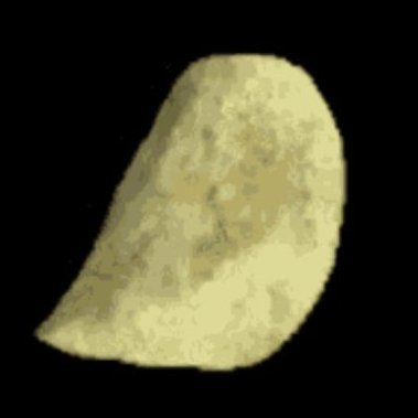 Potato
