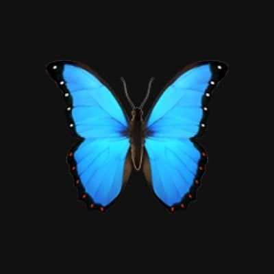 Buttrfly