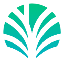 Palm Economy