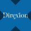 Direxion Daily TSLA Bull 2X Shares tokenized ETF (xStock)