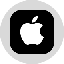 Apple Tokenized Stock (Ondo)