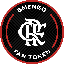 Flamengo Fan Token