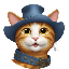 PussFi