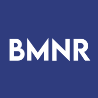 BitMine Immersion Technologies
